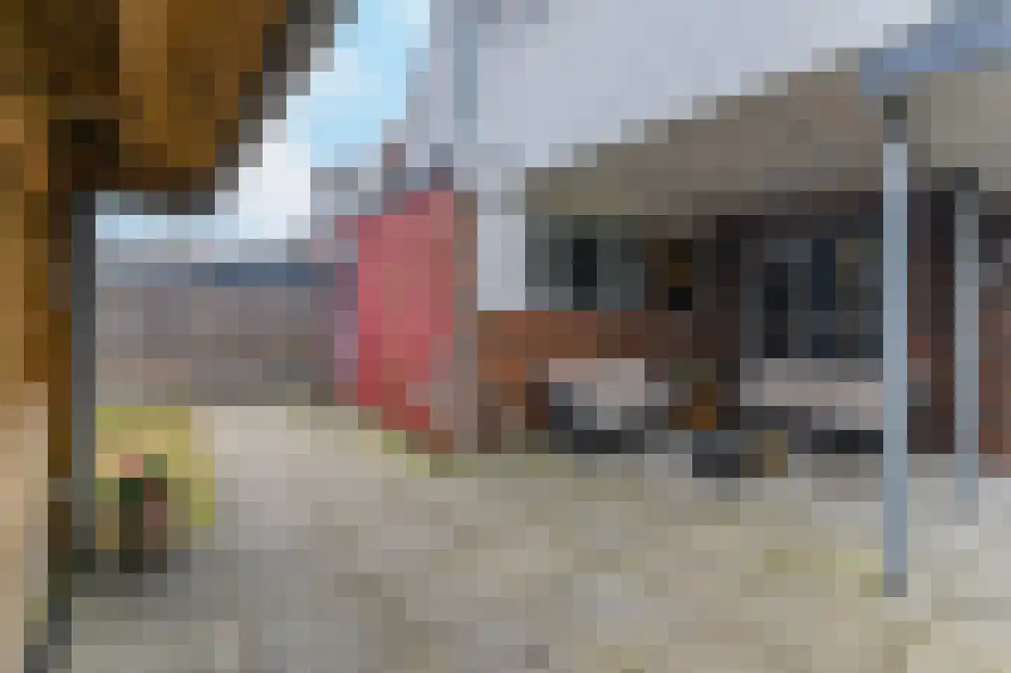Nijewei 30 Gorredijk thumbnail 36