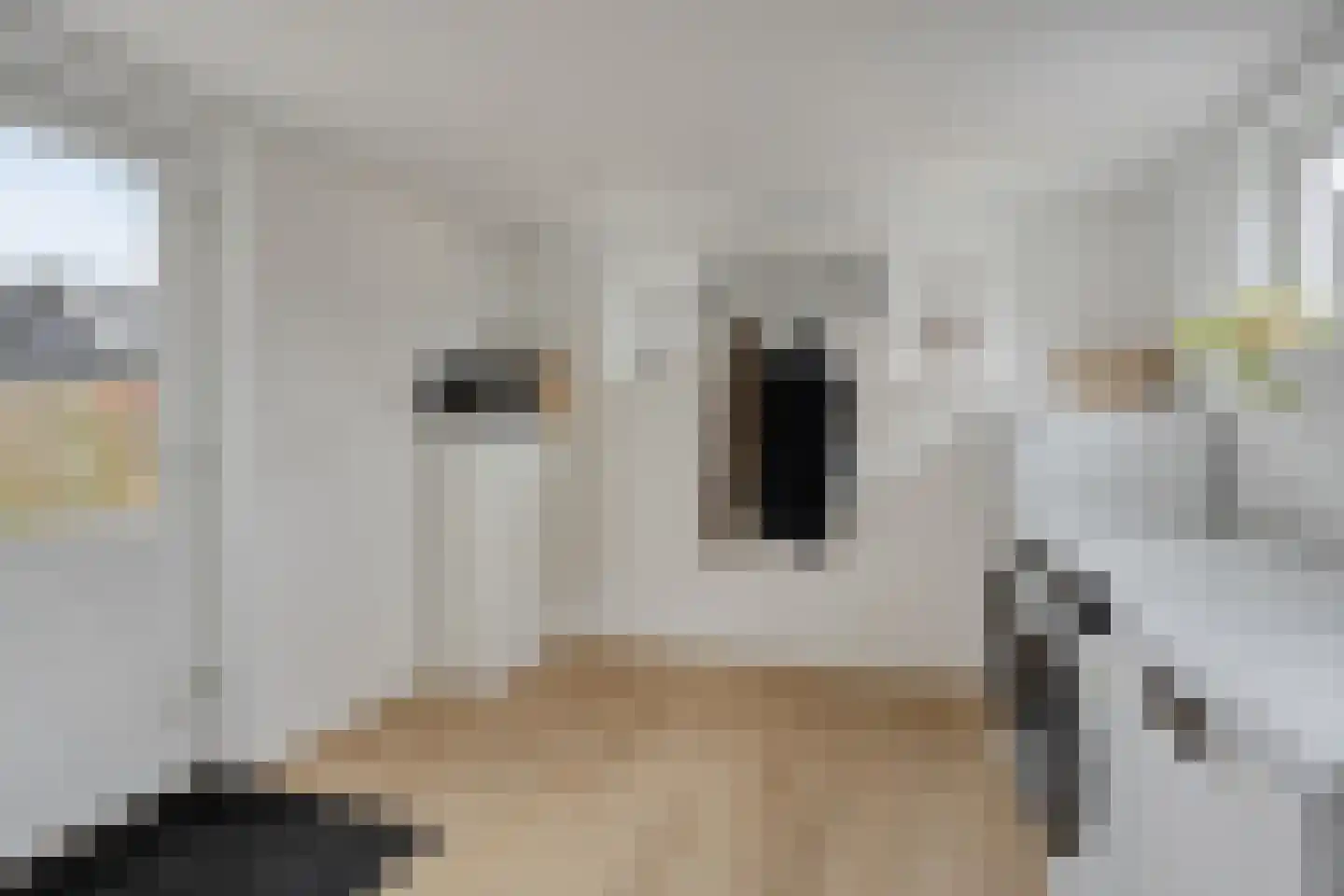 Nijewei 49 Feanwâlden thumbnail 10