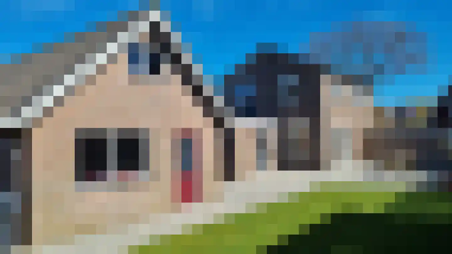 Nijewei 49 Feanwâlden thumbnail 28