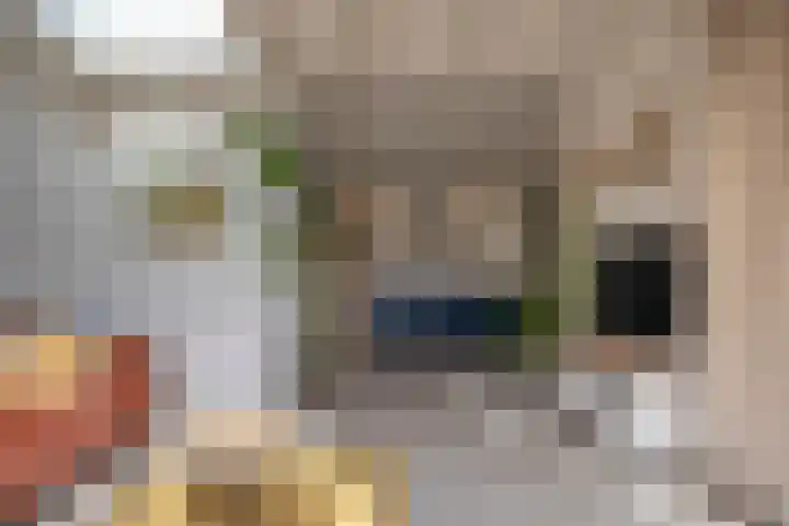 Nijewei 53 Feanwâlden thumbnail 11