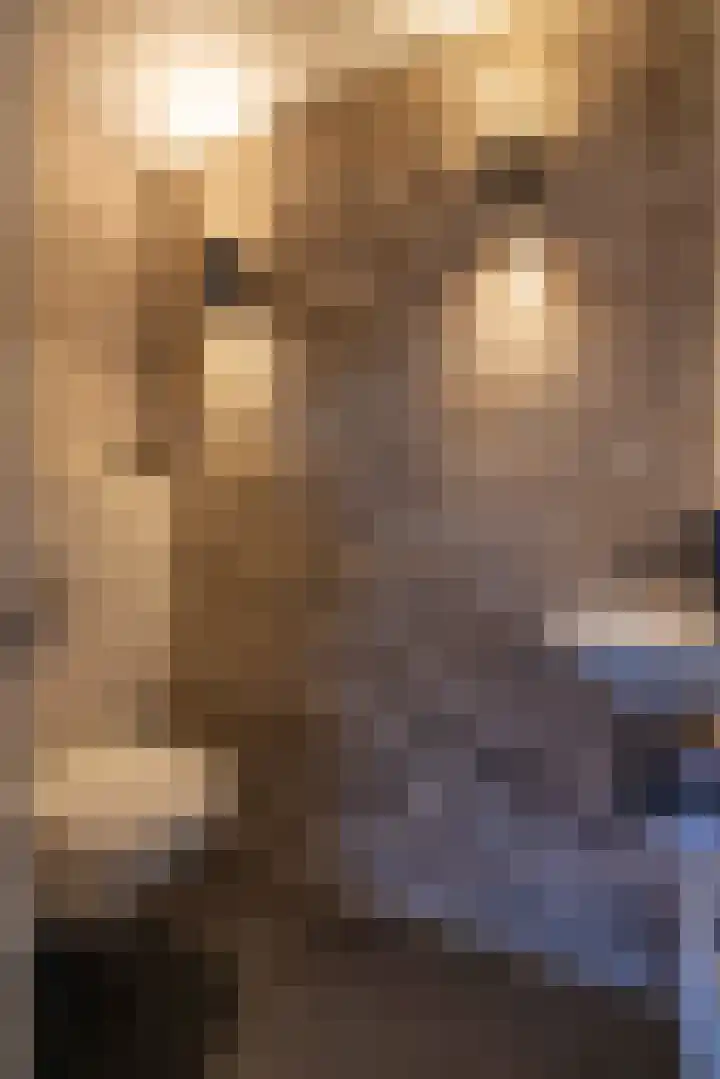 Nijewei 53 Feanwâlden thumbnail 15