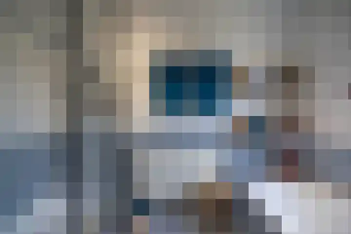 Nijewei 53 Feanwâlden thumbnail 19