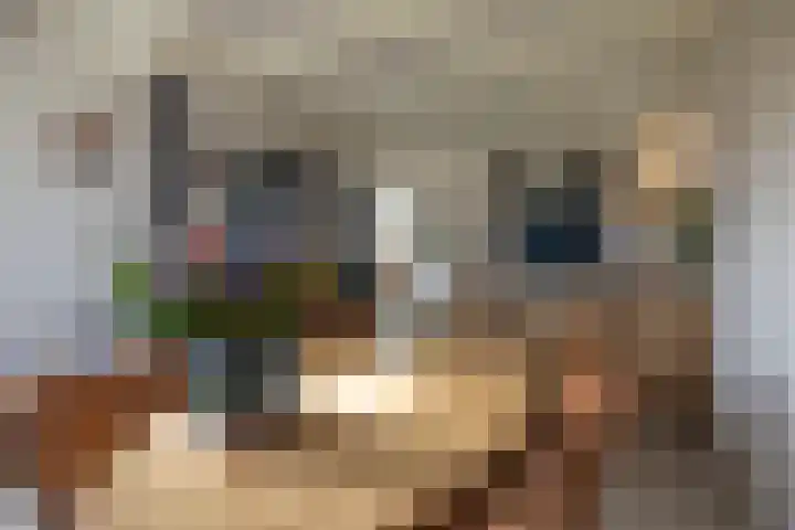 Nijewei 53 Feanwâlden foto 2