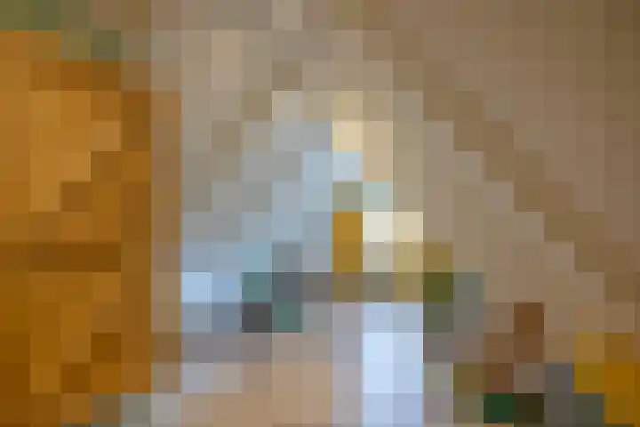 Nijewei 53 Feanwâlden thumbnail 26