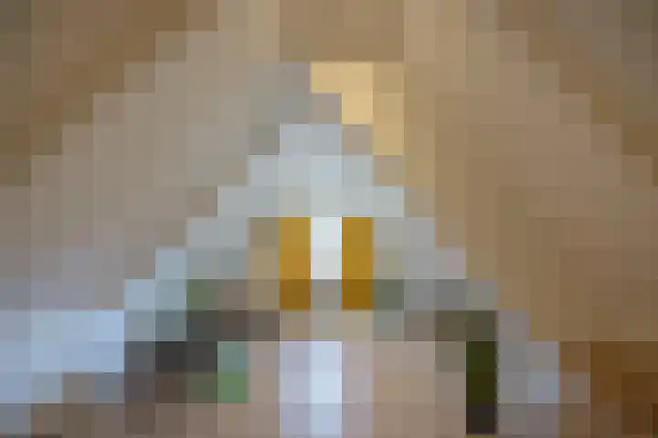 Nijewei 53 Feanwâlden thumbnail 27