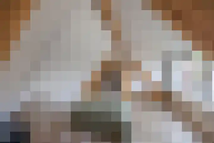 Nijewei 53 Feanwâlden thumbnail 30