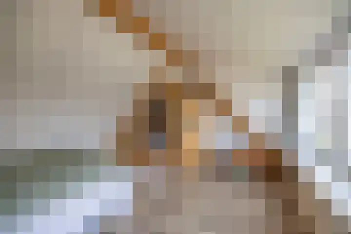 Nijewei 53 Feanwâlden thumbnail 31