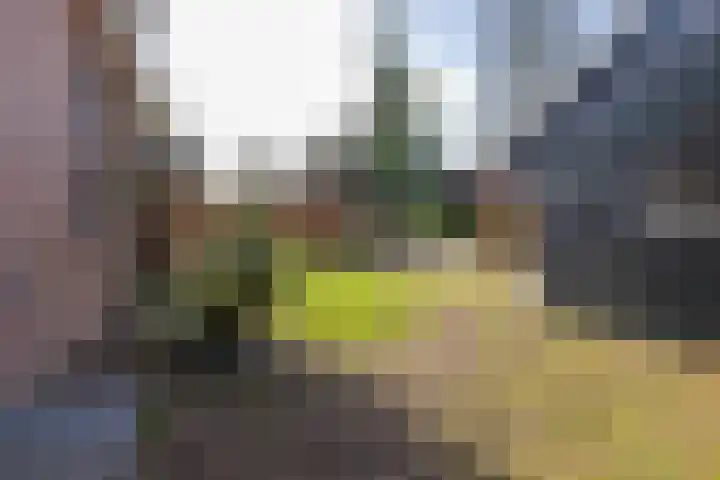 Nijewei 53 Feanwâlden thumbnail 33