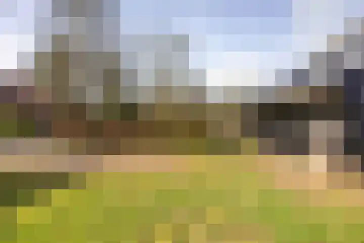 Nijewei 53 Feanwâlden thumbnail 34