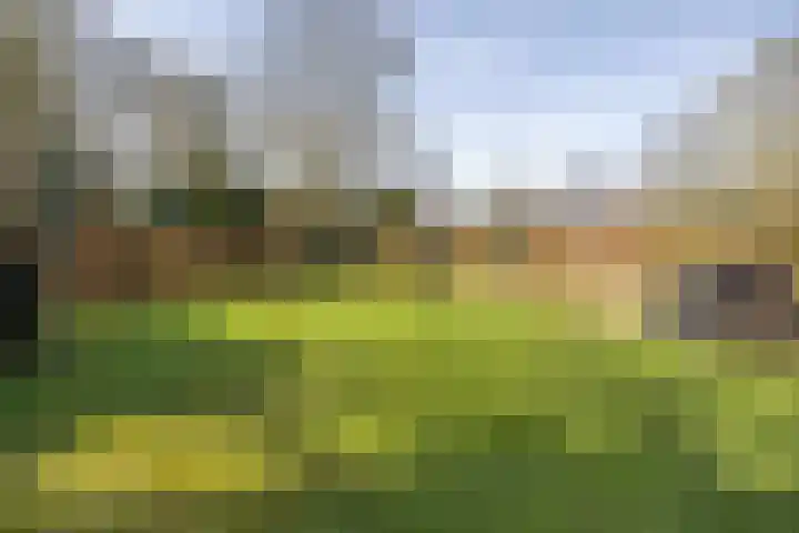 Nijewei 53 Feanwâlden thumbnail 36
