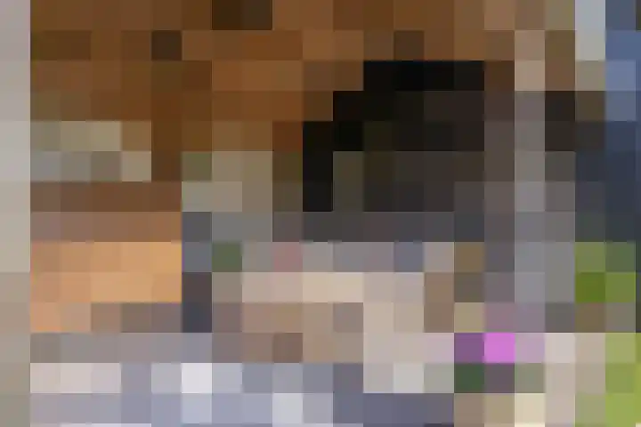 Nijewei 53 Feanwâlden thumbnail 37