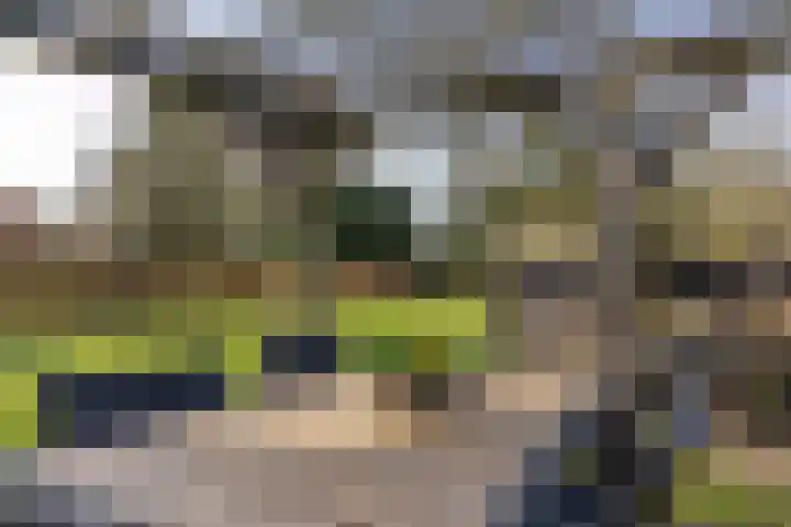 Nijewei 53 Feanwâlden thumbnail 39
