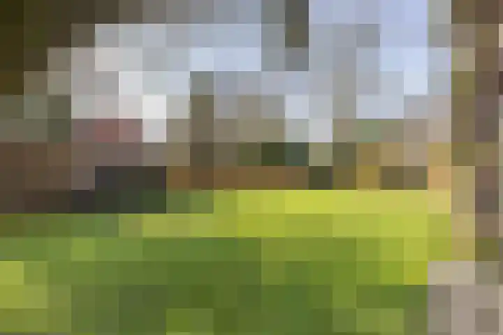 Nijewei 53 Feanwâlden thumbnail 4