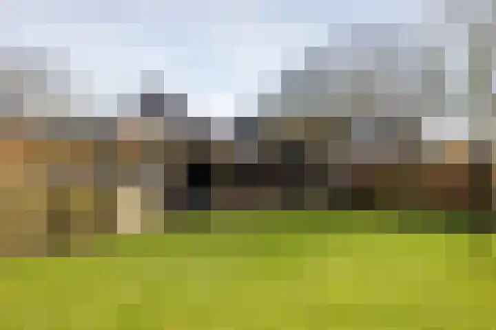 Nijewei 53 Feanwâlden thumbnail 41
