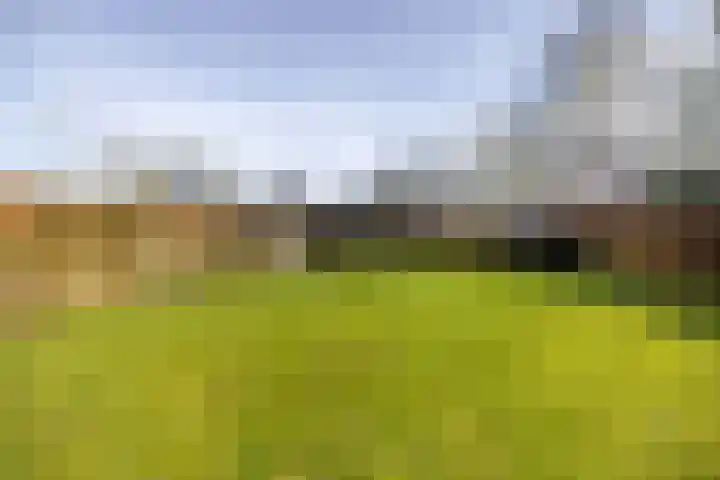 Nijewei 53 Feanwâlden thumbnail 42
