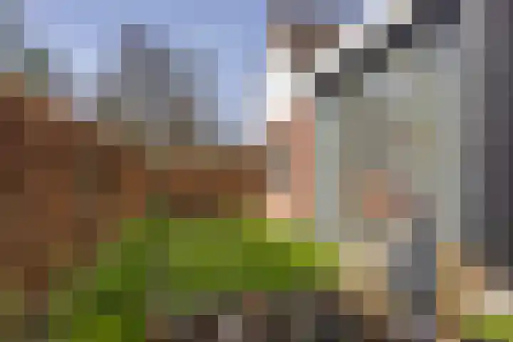 Nijewei 53 Feanwâlden thumbnail 45