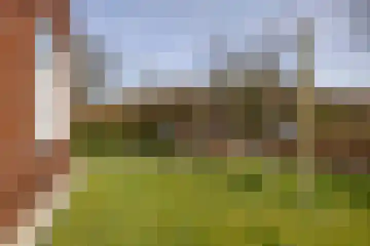 Nijewei 53 Feanwâlden thumbnail 46