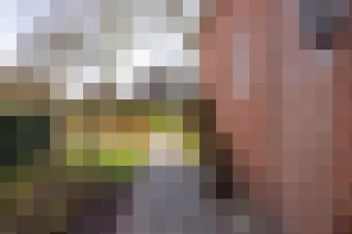 Nijewei 53 Feanwâlden thumbnail 51