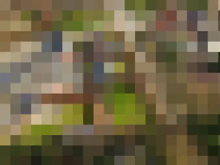 Nijewei 53 Feanwâlden thumbnail 53