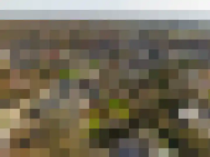 Nijewei 53 Feanwâlden thumbnail 54