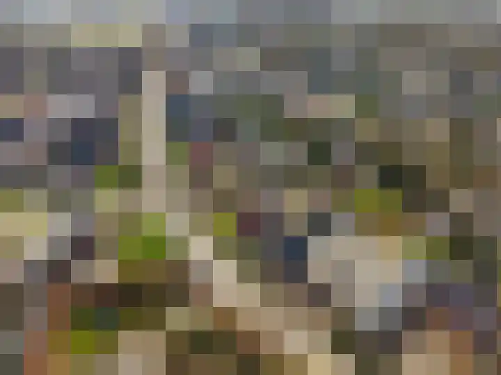 Nijewei 53 Feanwâlden thumbnail 55