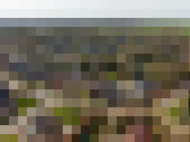 Nijewei 53 Feanwâlden thumbnail 56