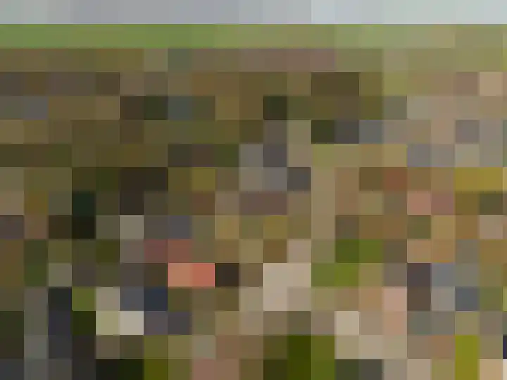 Nijewei 53 Feanwâlden thumbnail 57