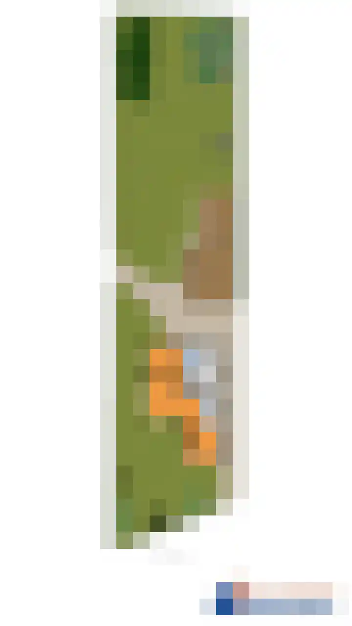 Nijewei 53 Feanwâlden thumbnail 58