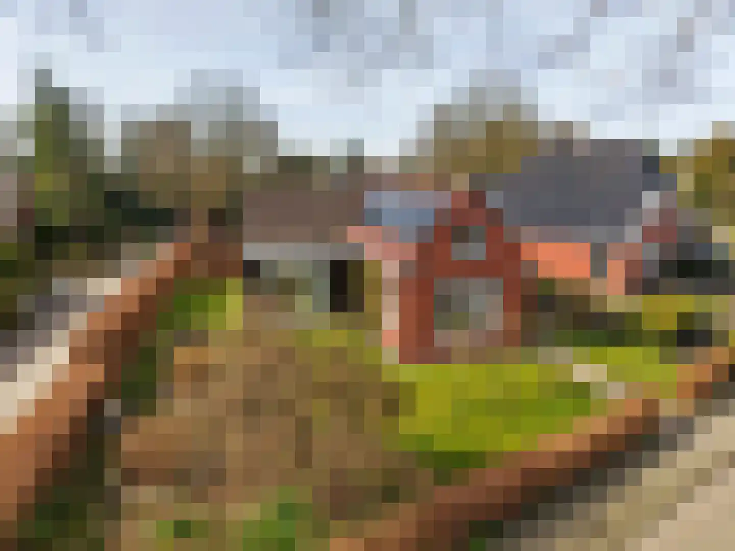 Nijewei 53 Feanwâlden thumbnail 62