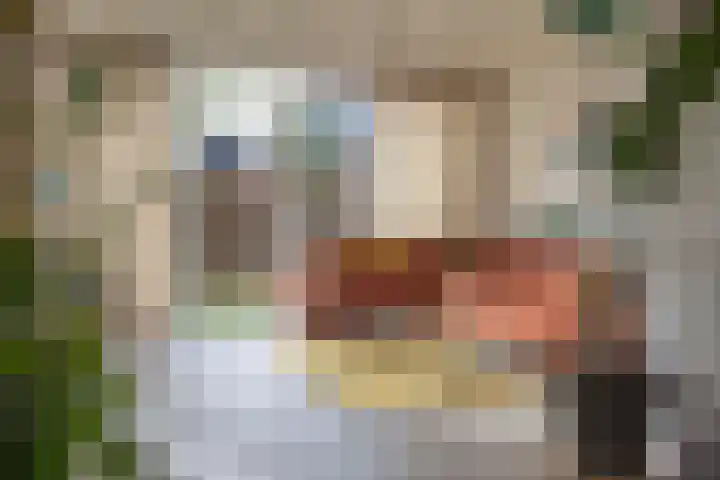 Nijewei 53 Feanwâlden thumbnail 7