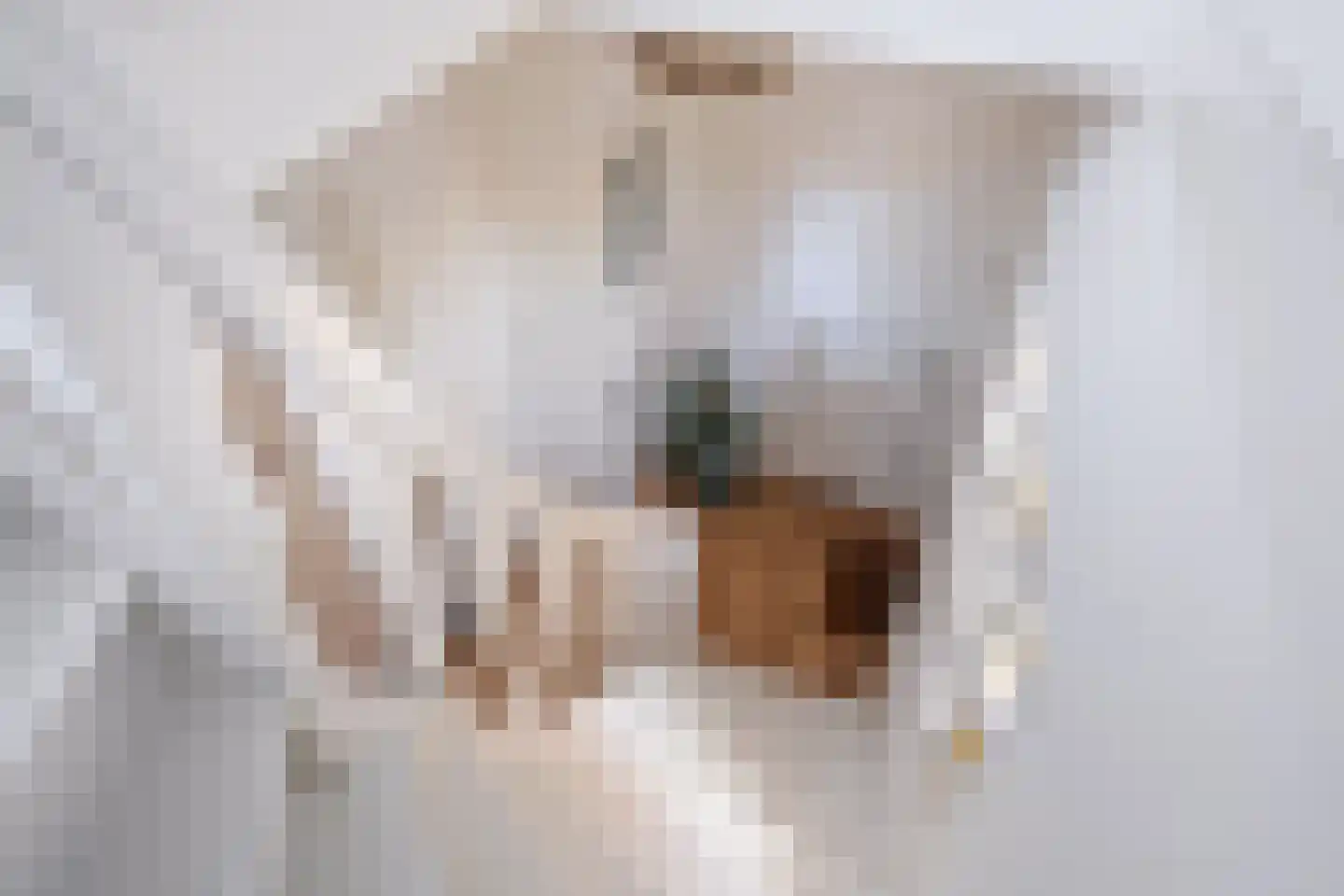 Nijewei 53 Gorredijk thumbnail 33