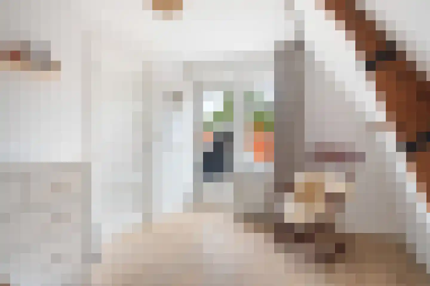 Nijewei 53 Gorredijk thumbnail 37