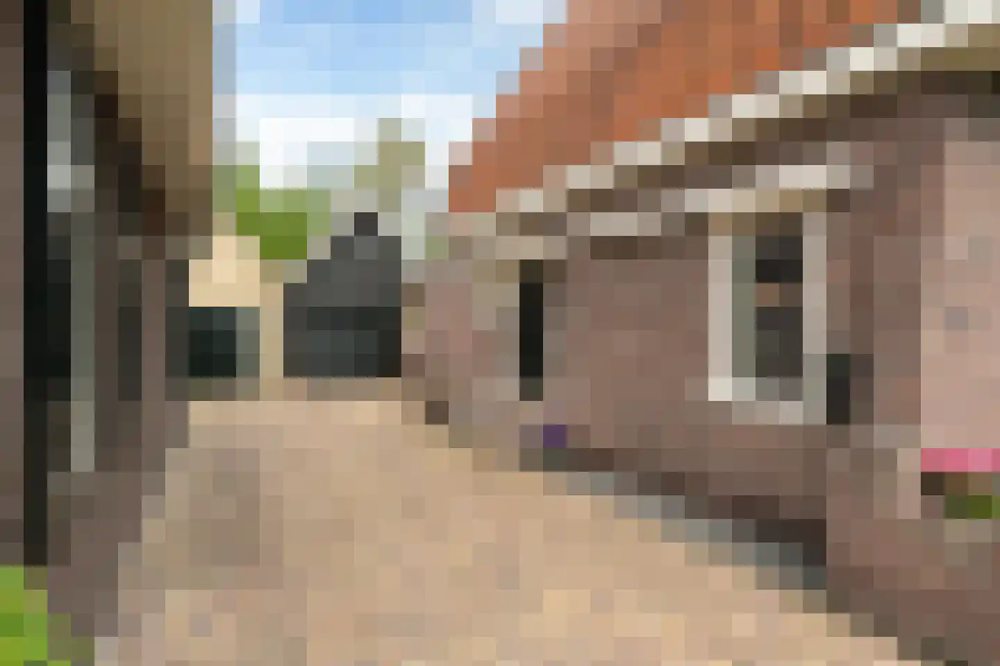 Nijewei 53 Gorredijk thumbnail 47