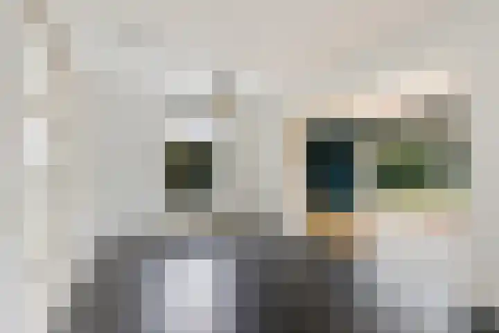 Nijewei 63 a Boornbergum thumbnail 14