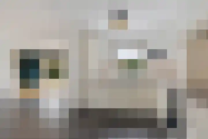 Nijewei 63 a Boornbergum thumbnail 15