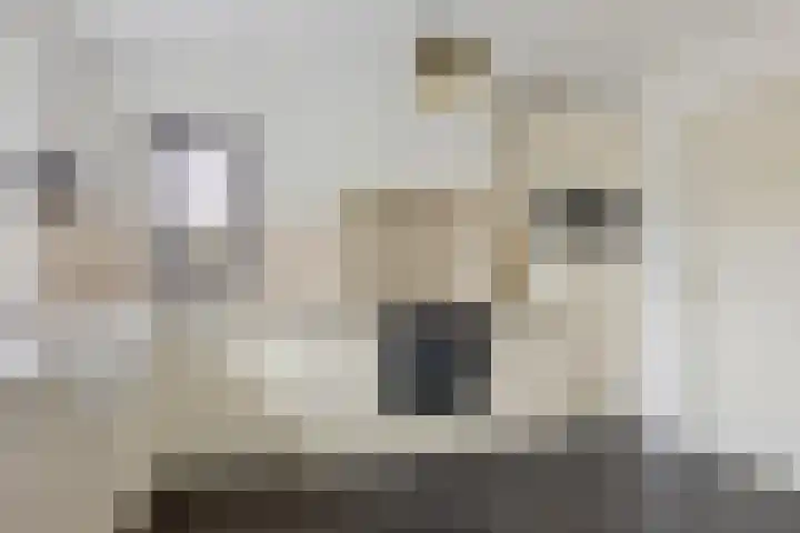 Nijewei 63 a Boornbergum thumbnail 16