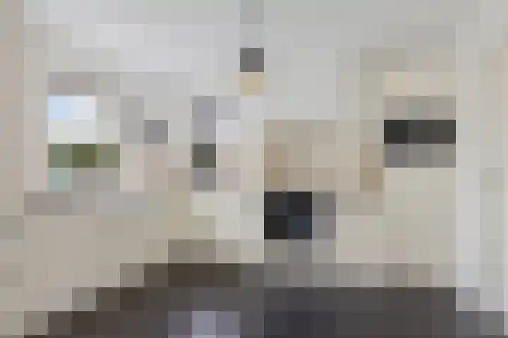 Nijewei 63 a Boornbergum thumbnail 17