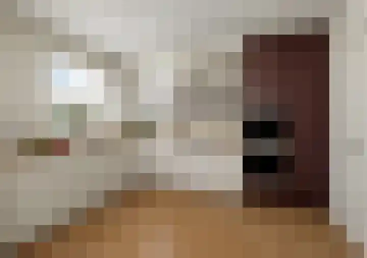 Nijewei 63 a Boornbergum thumbnail 18