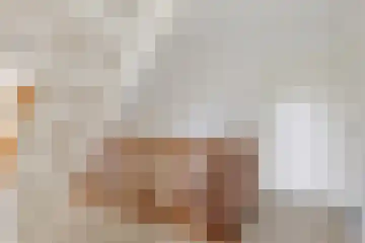 Nijewei 63 a Boornbergum thumbnail 22