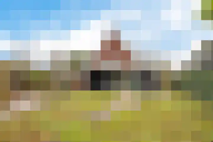 Nijewei 63 a Boornbergum thumbnail 44