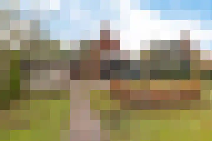 Nijewei 63 a Boornbergum thumbnail 45