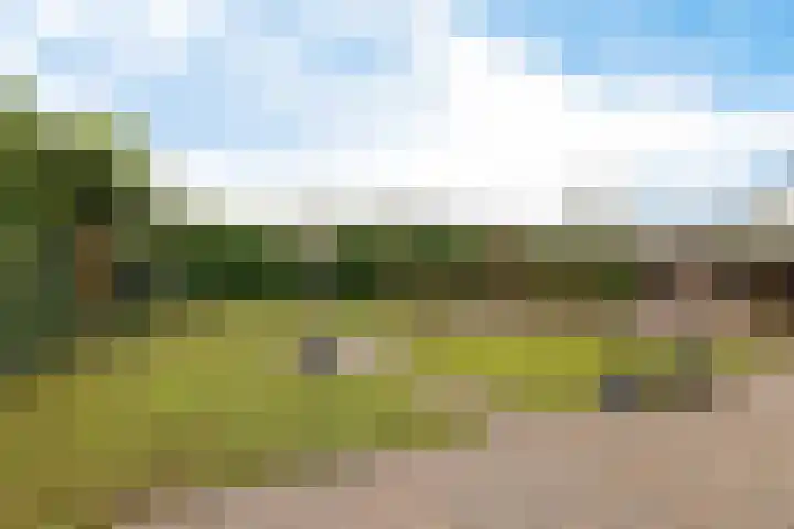 Nijewei 63 a Boornbergum thumbnail 46