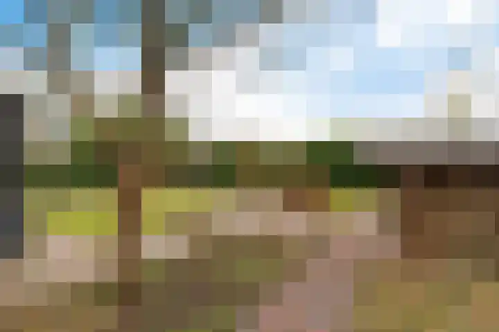 Nijewei 63 a Boornbergum thumbnail 48