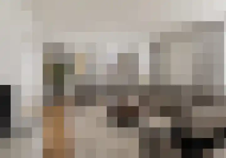 Nijewei 63 a Boornbergum thumbnail 9