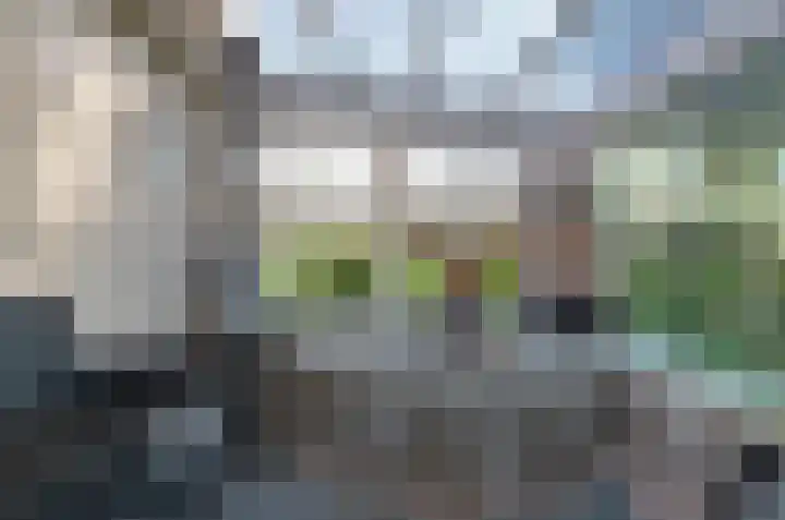 Nijewei 67 Harkema thumbnail 28