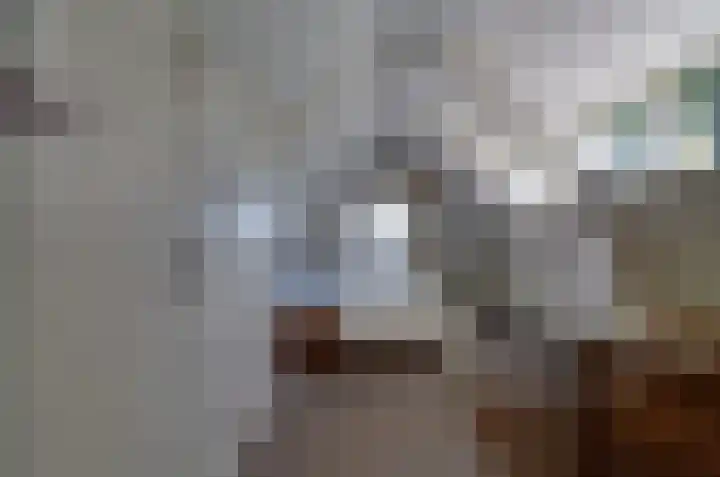 Nijewei 67 Harkema thumbnail 29