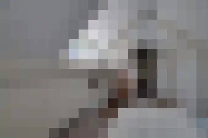 Nijewei 67 Harkema thumbnail 31