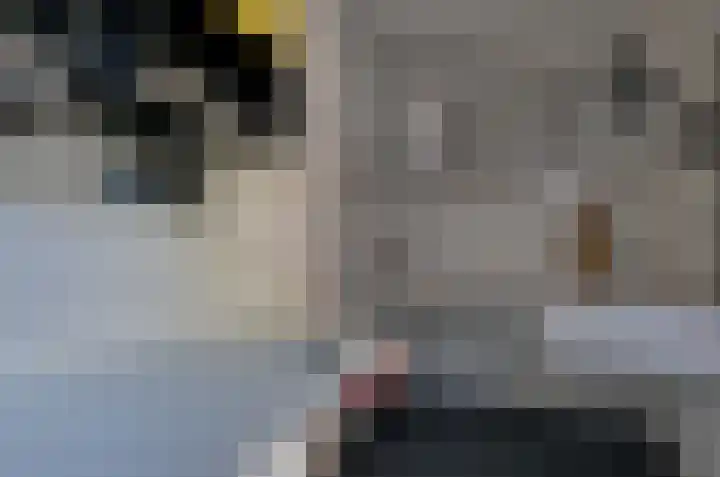 Nijewei 67 Harkema thumbnail 37