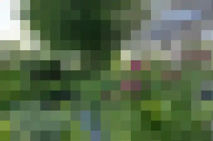 Nijewei 67 Harkema thumbnail 47