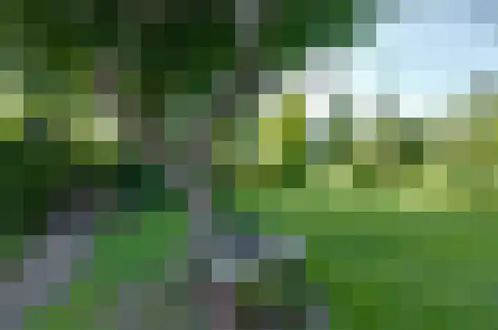 Nijewei 67 Harkema thumbnail 49